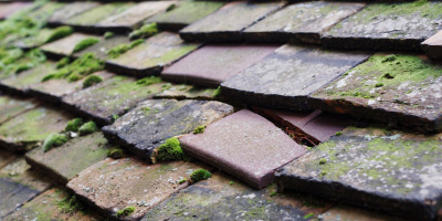 Sapcote roof repair costs